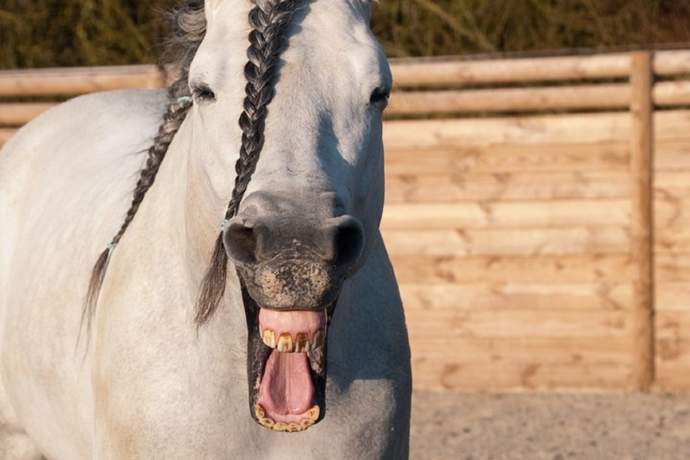 Sprawdź, jak pierwszego kwietnia próbowano wkręcić graczy