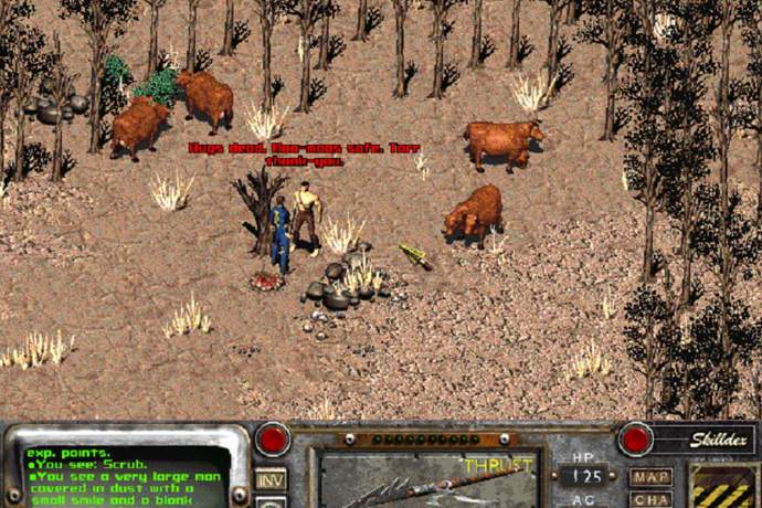 Speedrunner ukończył pięć gier z serii Fallout w mniej niż dwie 