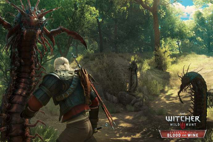 Screeny z Krew i Wino - Wiedźmin 3